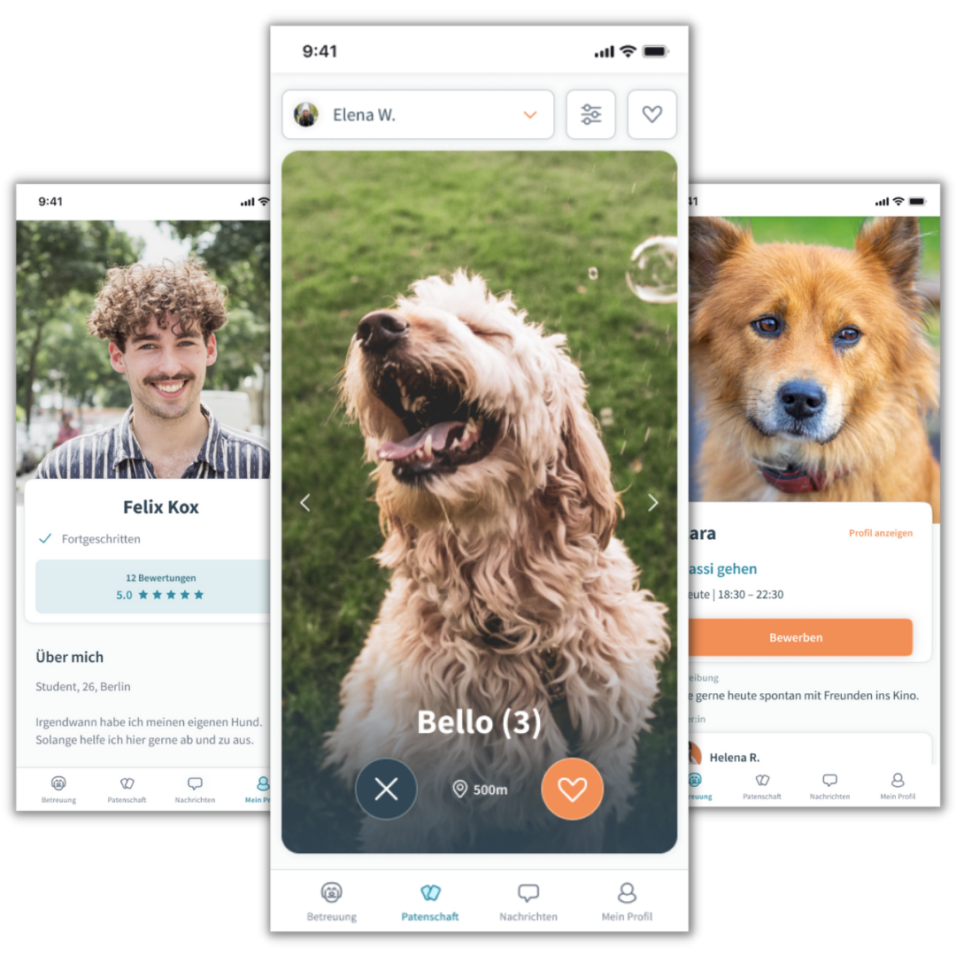 Das Hunde-Tinder: Patzo App